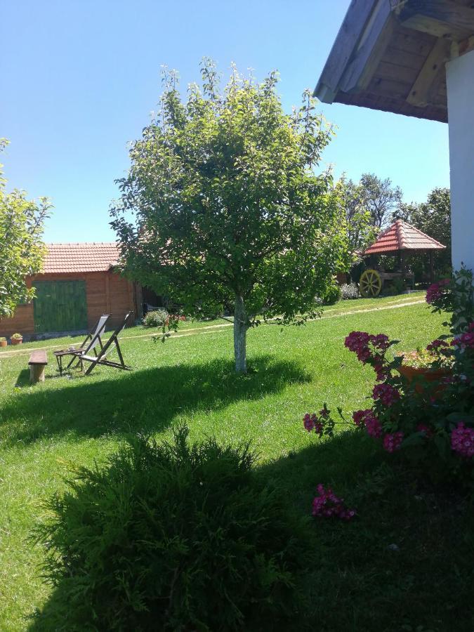 Camp Viljamovka Lägenhet Kremna Exteriör bild