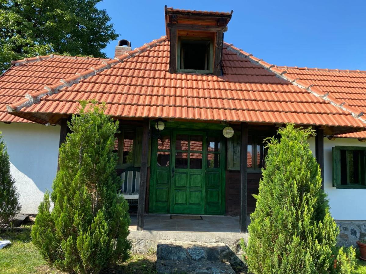 Camp Viljamovka Lägenhet Kremna Exteriör bild
